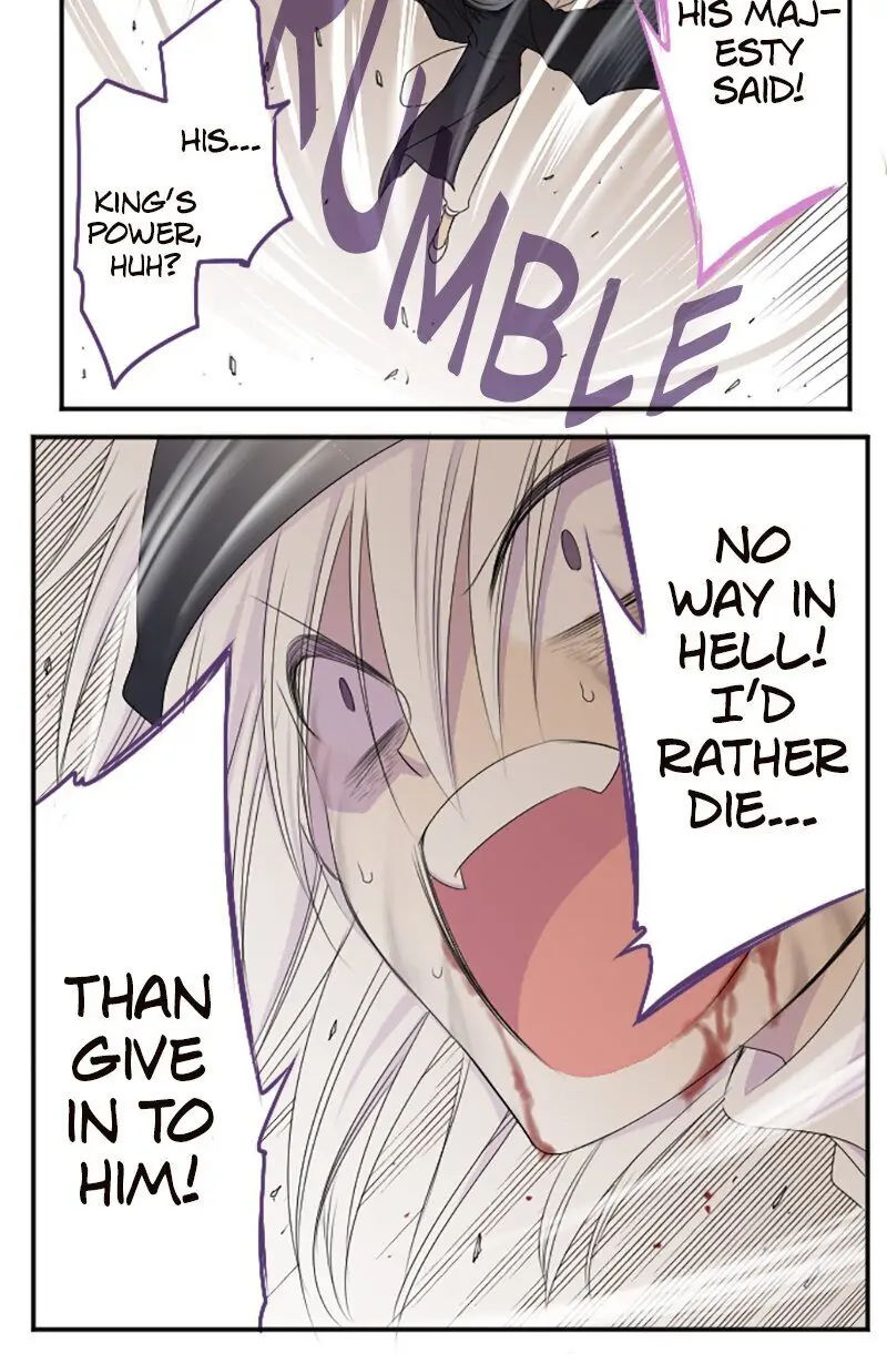 12244368 800 1230 95994